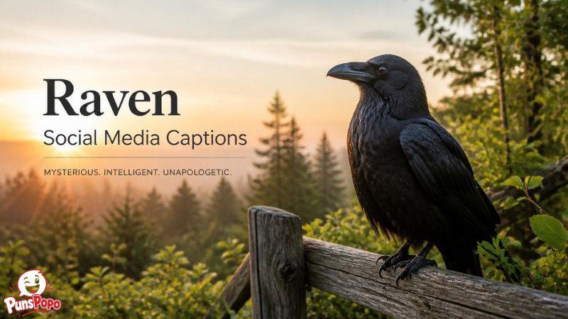 Raven Social Media Captions