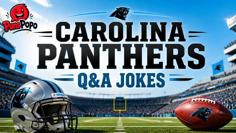 Carolina Panthers Q&A Jokes