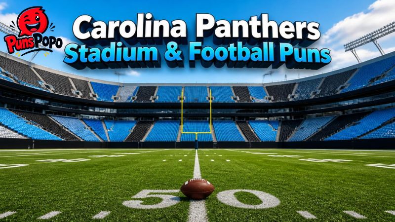 Carolina Panthers Stadium & Football Puns