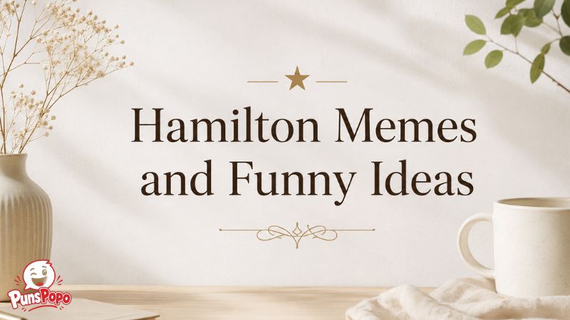 Hamilton Memes and Funny Ideas