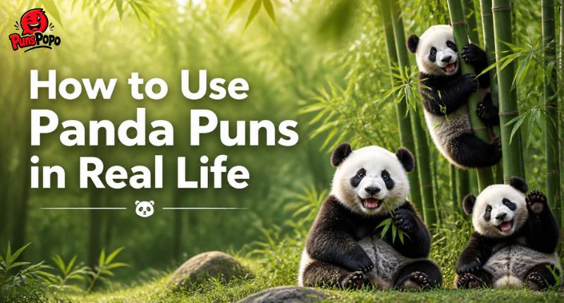 How to Use Panda Puns in Real Life