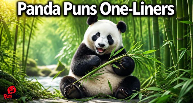 Panda Puns One-Liners