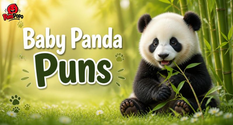 Baby Panda Puns