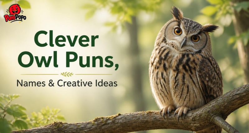 Clever Owl Puns, Names & Creative Ideas