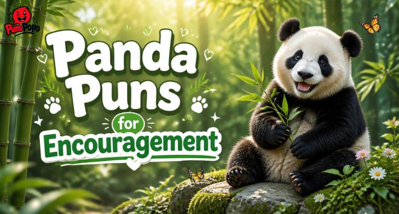 Panda Puns for Encouragement