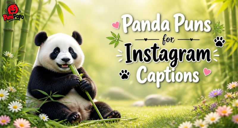 Panda Puns for Instagram Captions