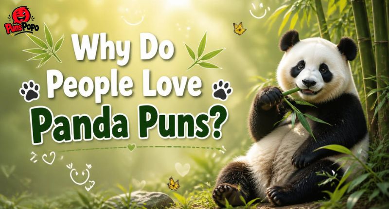 Why Do People Love Panda Puns?