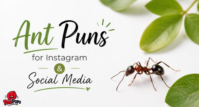 Ant Puns for Instagram & Social Media
