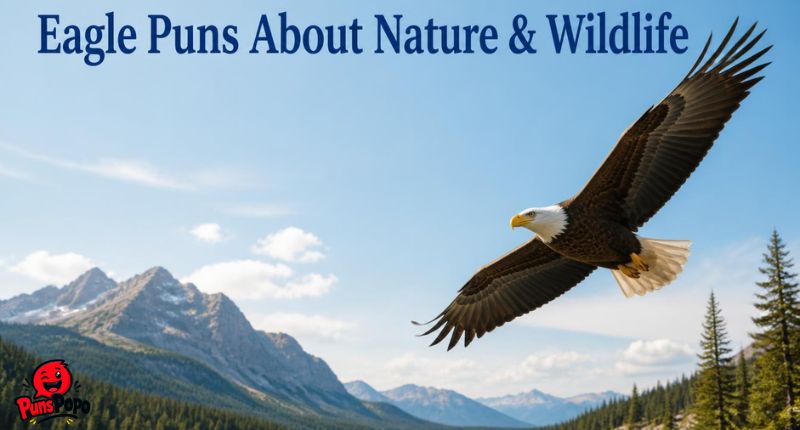 Eagle Puns About Nature & Wildlife