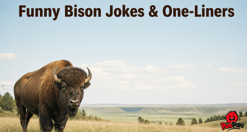 Funny Bison Jokes & One-Liners