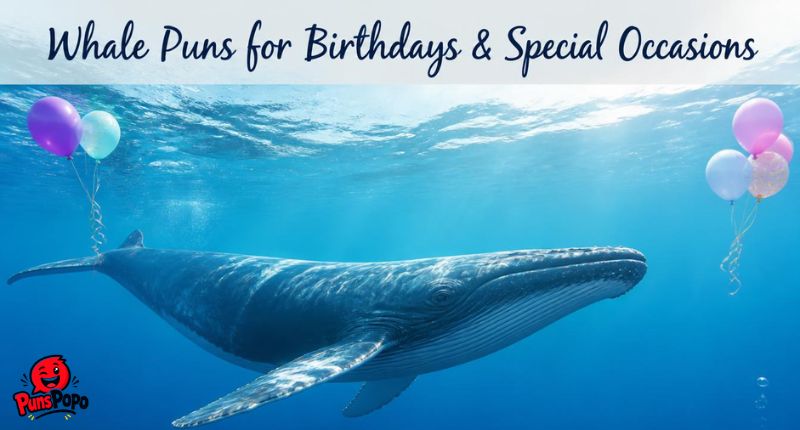Whale Puns for Birthdays & Special Occasions